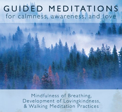 Guided Meditations Cover