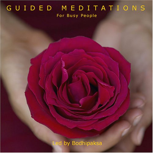 Guided Meditations for Busy People Cover