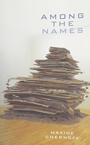 Among the Names Cover