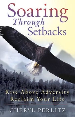 Soaring Through Setbacks Cover