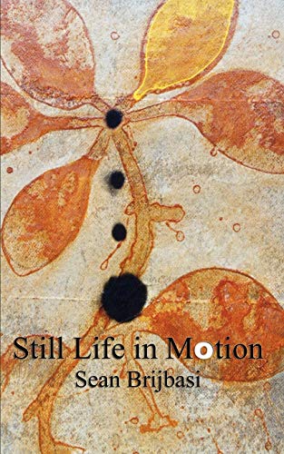 Still Life In Motion Cover
