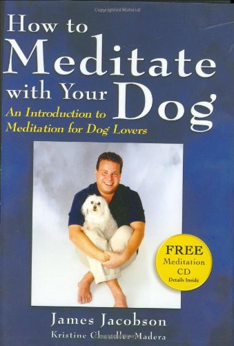 How to Meditate With Your Dog Cover