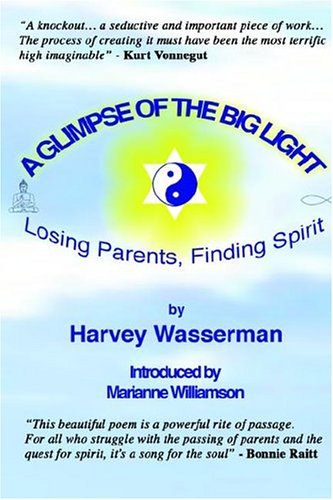 A Glimpse of the Big Light Cover