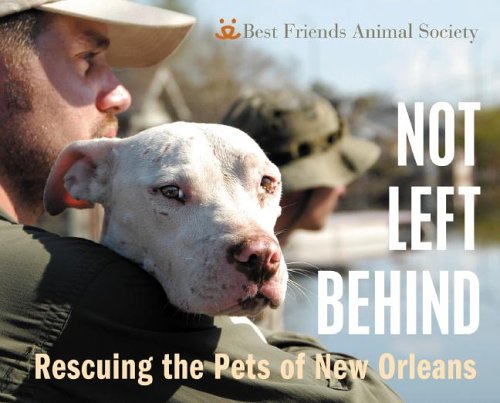 Not Left Behind Cover