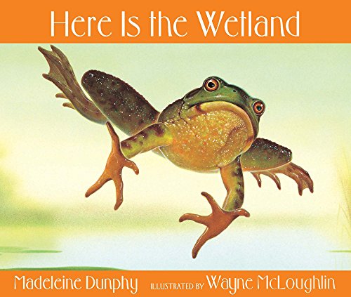 Here Is the Wetland (Here Is...) Cover