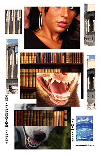 The Inappropriate Library Cover