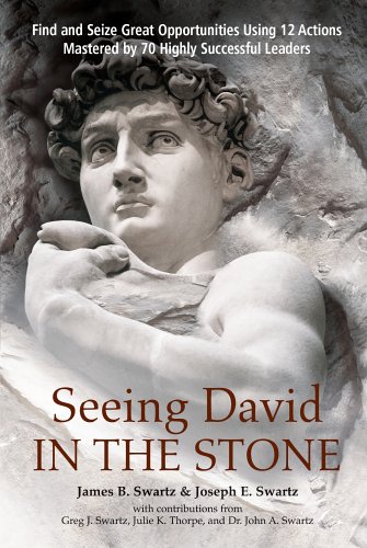 Seeing David in the Stone Cover