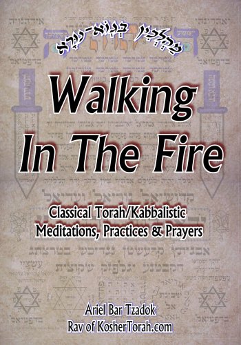 Walking In The Fire Cover