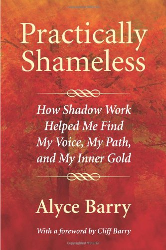 Practically Shameless Cover