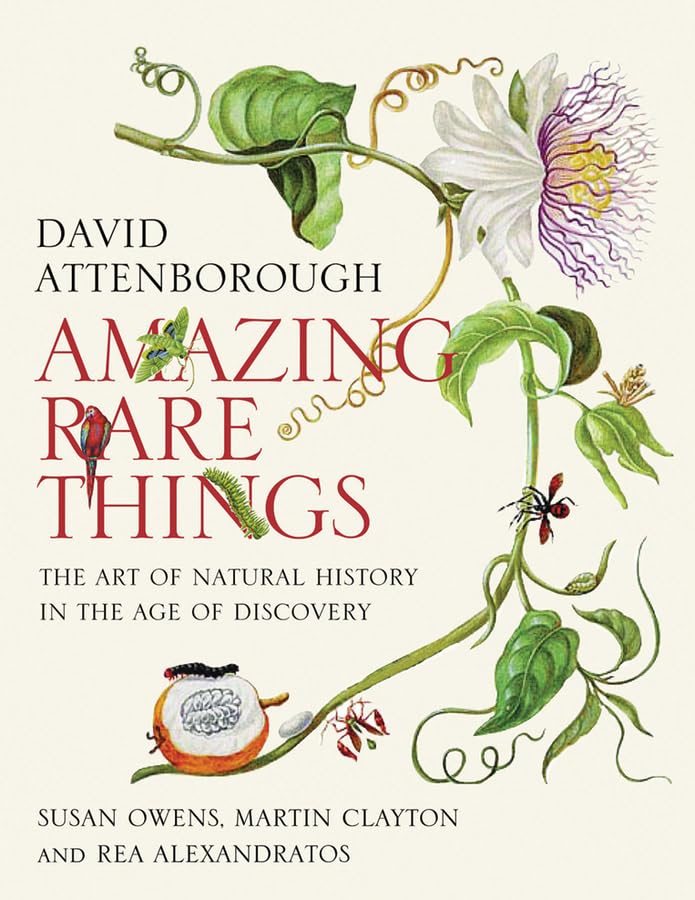 Amazing rare things Cover