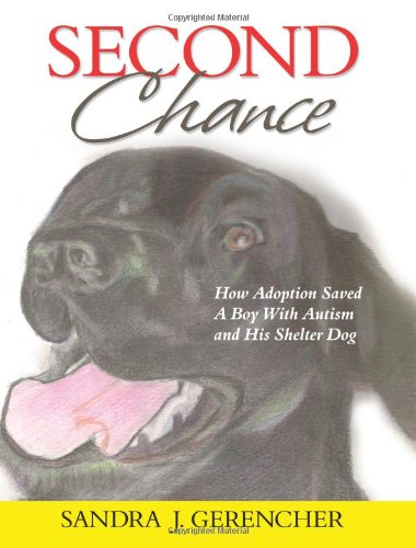 Second Chance Cover