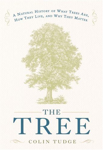 The tree Cover