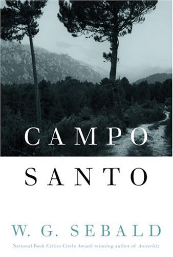 Campo Santo Cover