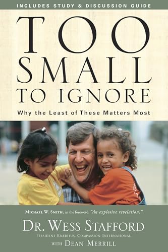 Too Small to Ignore Cover