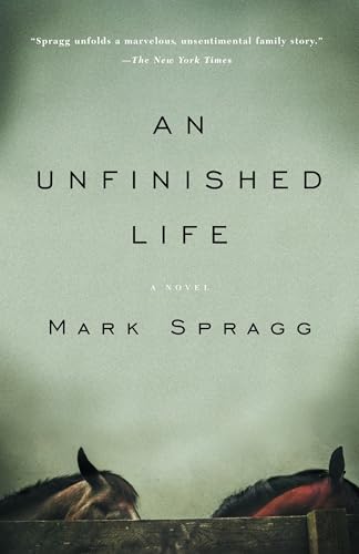 An Unfinished Life Cover