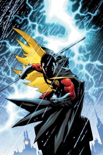 Robin Cover