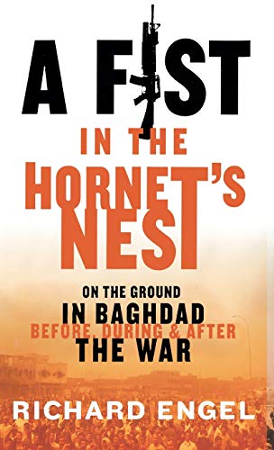 A fist in the hornet's nest Cover