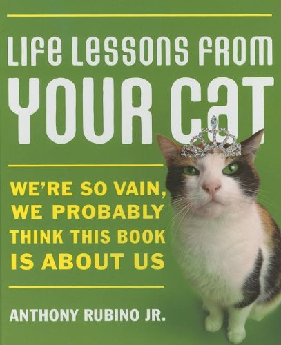 Life Lessons From Your Cat Cover