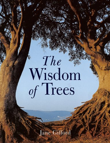 The Wisdom of Trees Cover