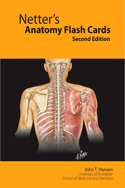 Netter's Anatomy Flash Cards Cover