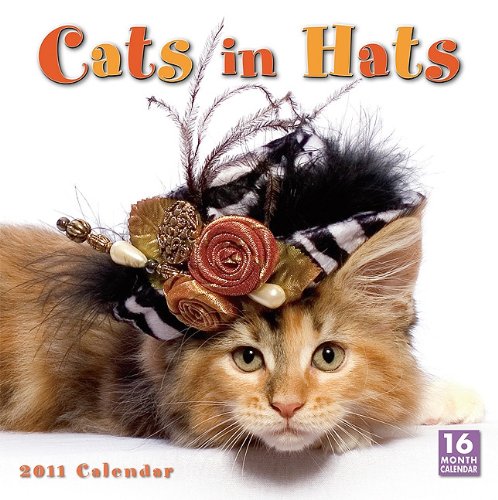 Cats in Hats 2011 Wall Calendar Poster