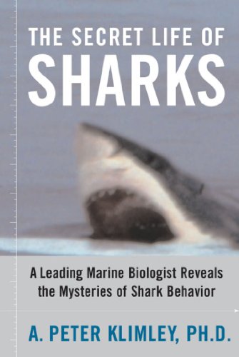 The Secret Life of Sharks Cover
