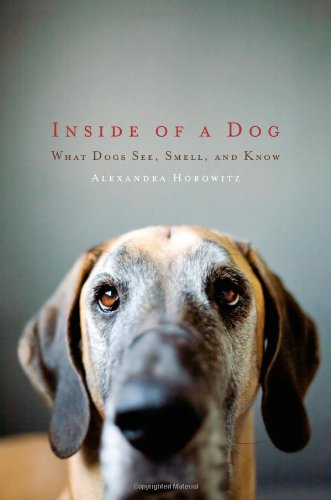 Inside of a dog Cover