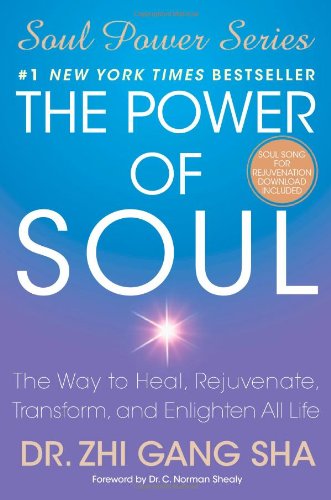 The power of soul Cover