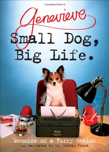 Small dog, big life Cover