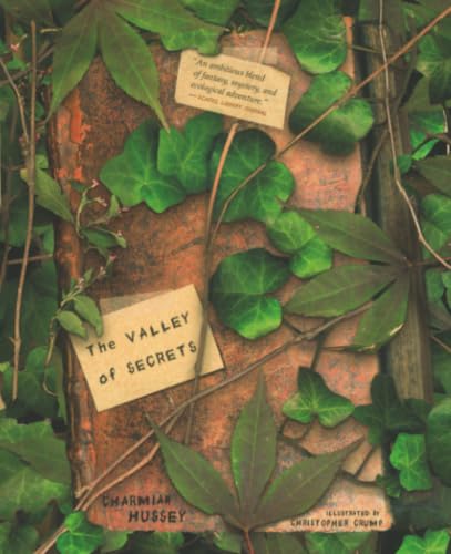 The valley of secrets Cover