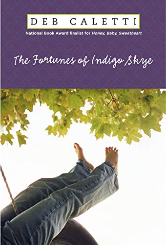 The Fortunes of Indigo Skye Cover