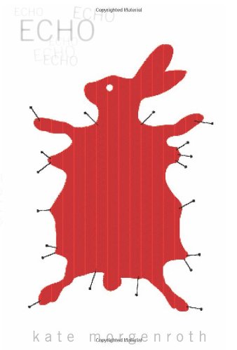 Echo Cover