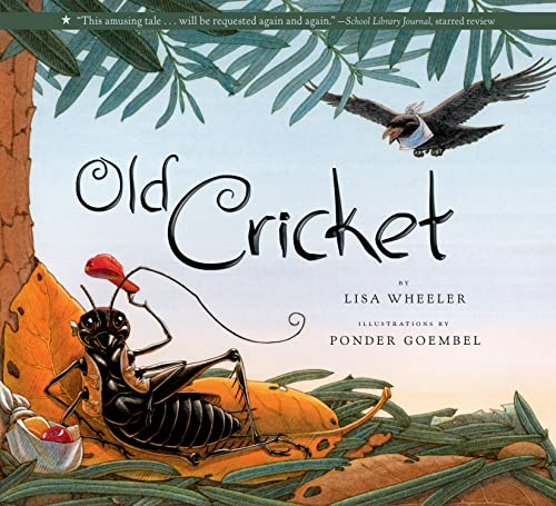 Old Cricket Cover