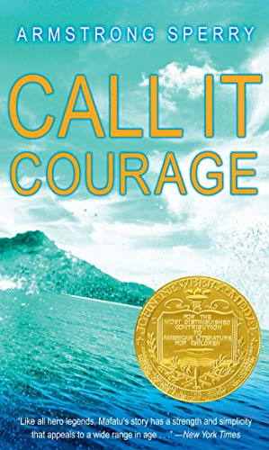 Call It Courage Cover