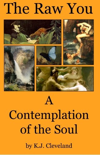 Attempted cover for Book ID: 141967188X