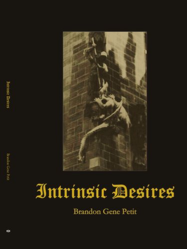 Intrinsic Desires Cover