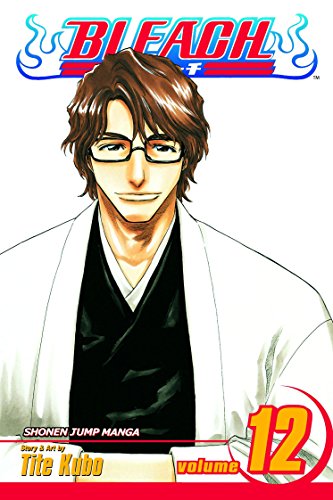 Bleach vol 12 Cover
