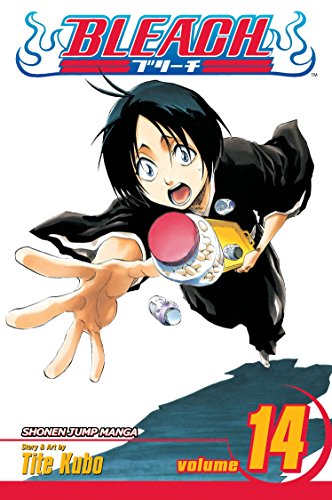 Bleach. Cover