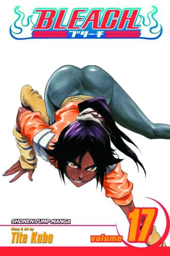 Bleach. Cover