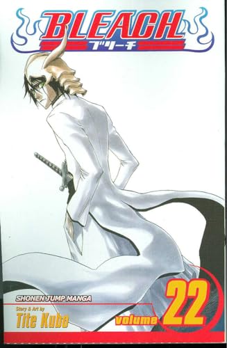 Bleach. Cover