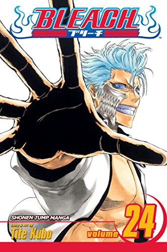 Bleach, Volume 24 Cover