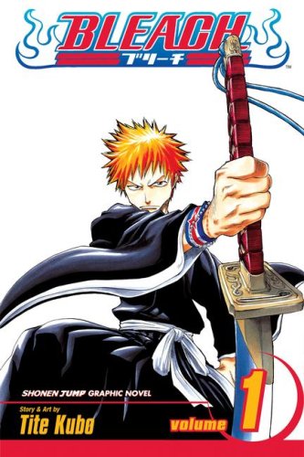 Bleach, Vol. 1 (Library Edition) (Bleach) Cover