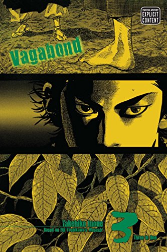 Vagabond VIZBIG Edition, Vol. 3 Cover