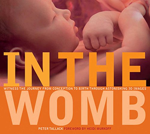 In the Womb Cover