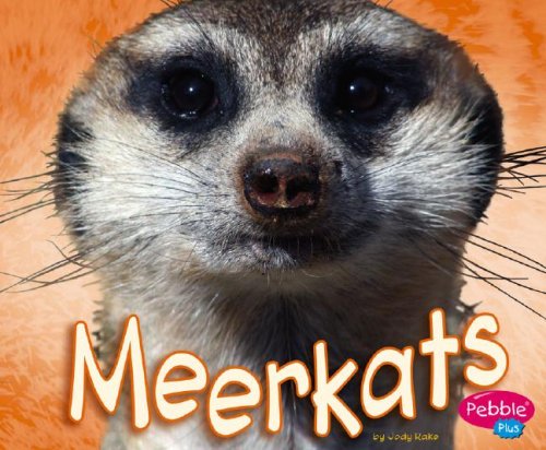 Meerkats Cover