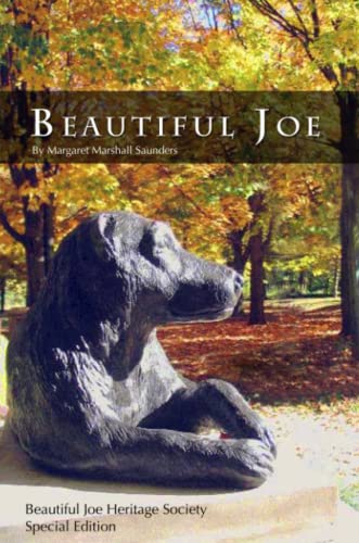 Beautiful Joe Cover