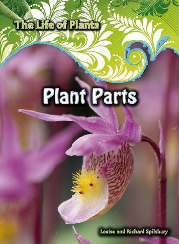 Plant parts Cover