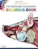 Book Cover for 1437714390