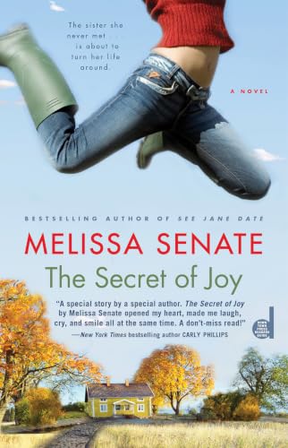 The secret of joy Cover