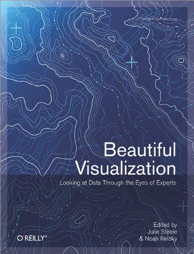 Beautiful Visualization Cover
